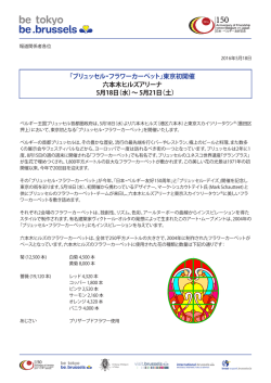 2016年5月18日 - BRUSSELS DAYS