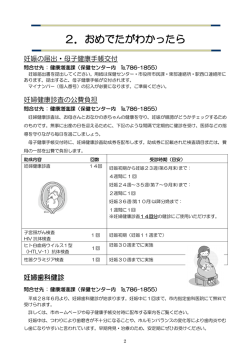 P2～P4（PDF形式：325KB）