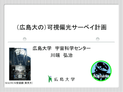可視偏光サーベイ計画 --- 川端 弘治 (広島大)