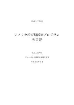 終了報告書 - グローバル理工人育成コース