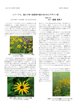 シリーズ3，富山で育つ宿根草の組み合わせとデザイン⑲ 教授 渡邉 美保子