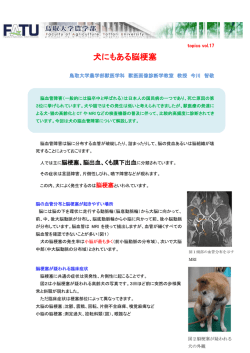 犬にもある脳梗塞 - 鳥取大学農学部附属動物医療センター