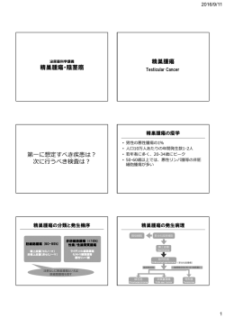 精巣腫瘍・陰茎癌
