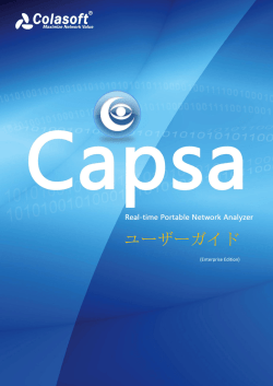 Capsaユーザーガイド