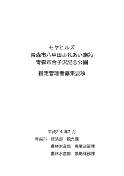 募集要項（案）（PDF：229KB）