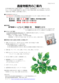農産物販売のご案内 - 岐阜大学応用生物科学部