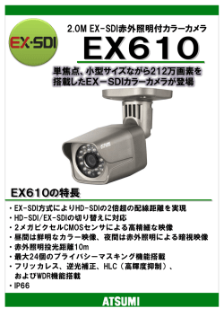 EX610 2.0M EX-SDI赤外照明付 カラーカメラ メガピクセル、デイナイト