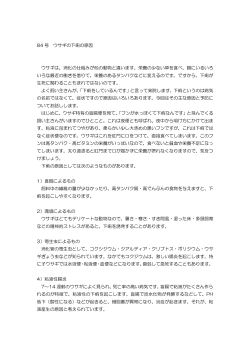 下痢の原因 - 清水動物病院