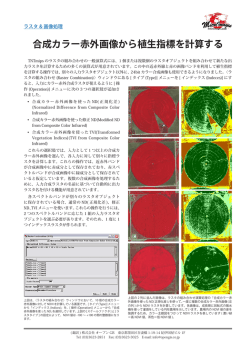 v2013「合成カラー赤外画像から植生指標を計算する」