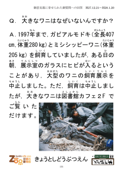 Q131 大きなワニはなぜいないんですか？