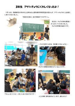 3年生 アゲハチョウにくわしくなったよ！