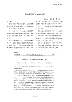 松木恒男氏からの手紙