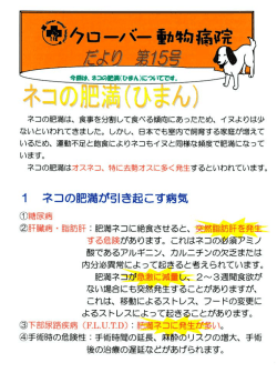 第15号≫ ネコの肥満について
