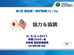 講演資料 - 第1回福島第一廃炉国際フォーラム