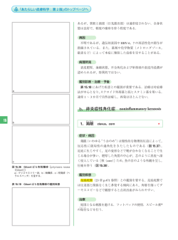 15 b．非炎症﻿性角化症﻿ noninflammatory keratosis