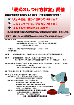 案内チラシはこちら