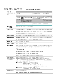2010 PI Chirashi final