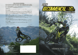 META HT AM - Commencal