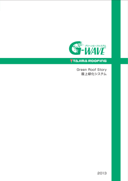 G r e e n R o o f S t or y