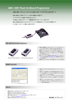 AM3 / AM1 Flash On-Board Programmer