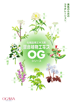 混合植物エキス 混合植物エキス