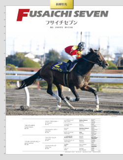 SMART ROBIN FUSAICHISEVEN HENNYHUGHES