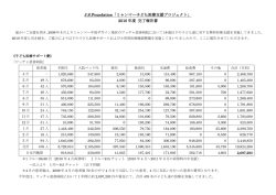 2010 年度 完了報告書 - J.S.Foundation