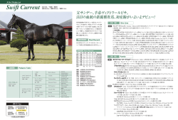 父サンデー、半弟ヴィクトワールピサ。 注目の血統の新鋭種牡馬、初産駒