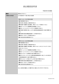 野村Webプラスローン 商品概要説明書