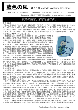 藍色の風 第51号 Bando Heart Chronicle