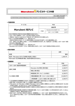 Marubeni 光テレビ