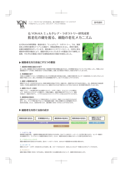 肌老化の鍵を握る、細胞の老化メカニズム - Yon-ka