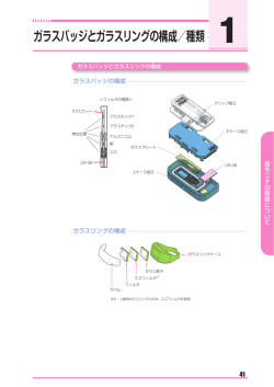 ガラスバッジとガラスリングの構成／種類 1
