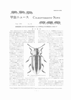 甲虫ニュース