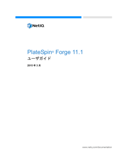 PlateSpin Forge ユーザガイド