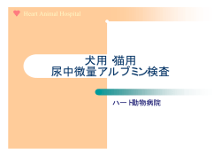 犬用・猫用 尿中微量アルブミン検査