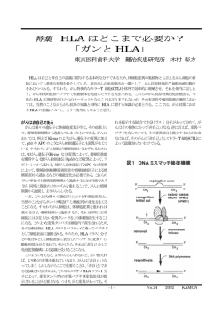 特集 HLA はどこまで必要か？ 「ガンと HLA」