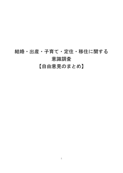 結婚・定住アンケート調査 自由意見のまとめ[PDF：423KB]