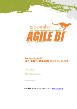 Pentaho セキュリティガイド 4.0