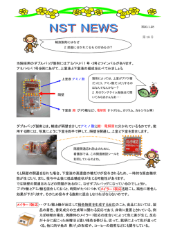 輸液製剤にはなぜ2部屋に分かれてるものがあるの？ (PDF