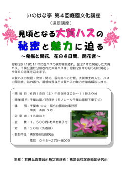 秘密と魅力に迫る