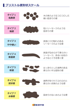 ブリストル便形状スケール PDF版をダウンロードする