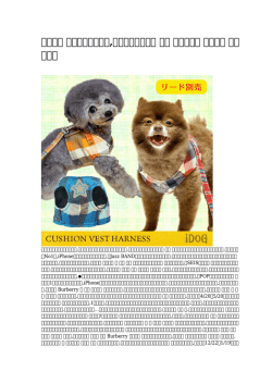 【年の】 犬の首輪の作り方,ヨークシャテリア 仔犬 ブリーダー 送料無料