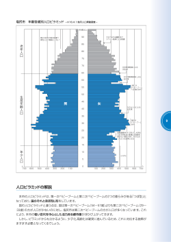 人口ピラミッド（PDF：264KB）
