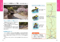 ならここの里キャンプ場
