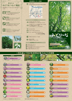 緑のマメ科植物
