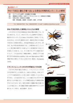 RNA 干渉法と遺伝子導入法による昆虫の形態形成メカニズムの解明