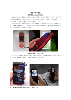 韓国の展示概況