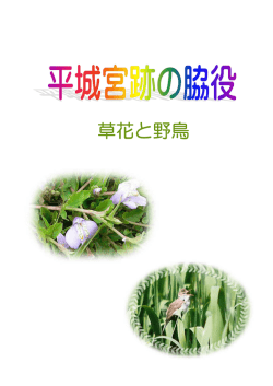 草花と野鳥 - 近鉄ケーブルネットワーク