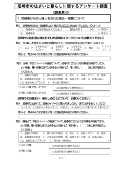 アンケート調査票C（PDF 483.7 KB）